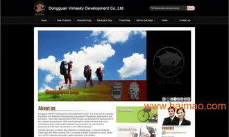 東莞箱包網(wǎng)站建設(shè)與設(shè)計(jì)的全方位指南