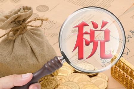 柳州一般納稅人企業(yè)代理報稅服務(wù)與稅務(wù)代理綜合指南